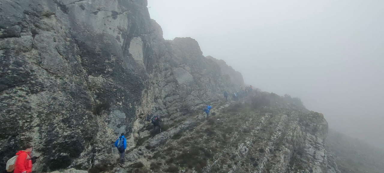 WhatsApp Image 2026-02-10 at 14.47.43 (7)